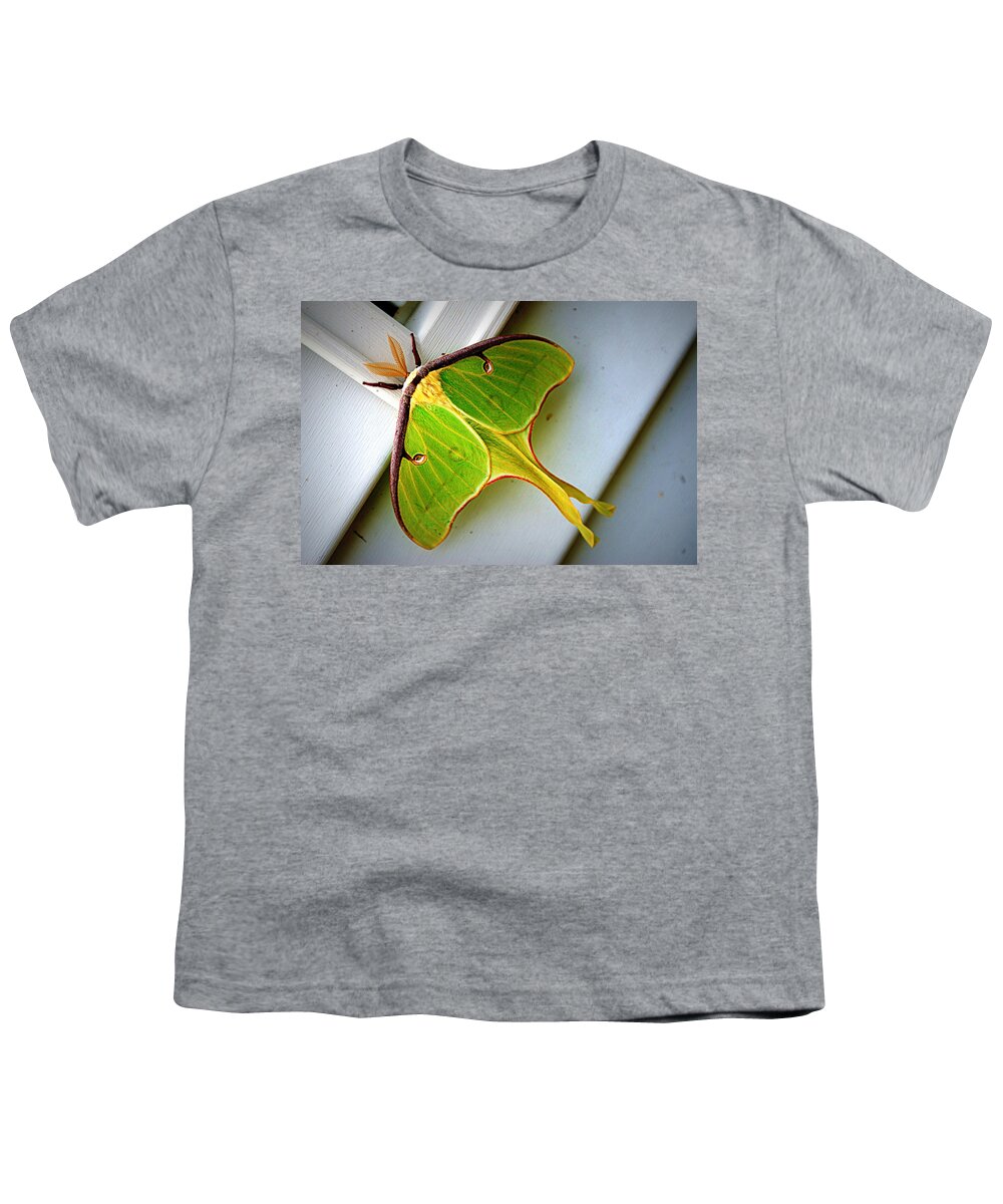 luna Moth Luna Youth T-Shirt featuring the photograph Luna Moth by Cricket Hackmann
