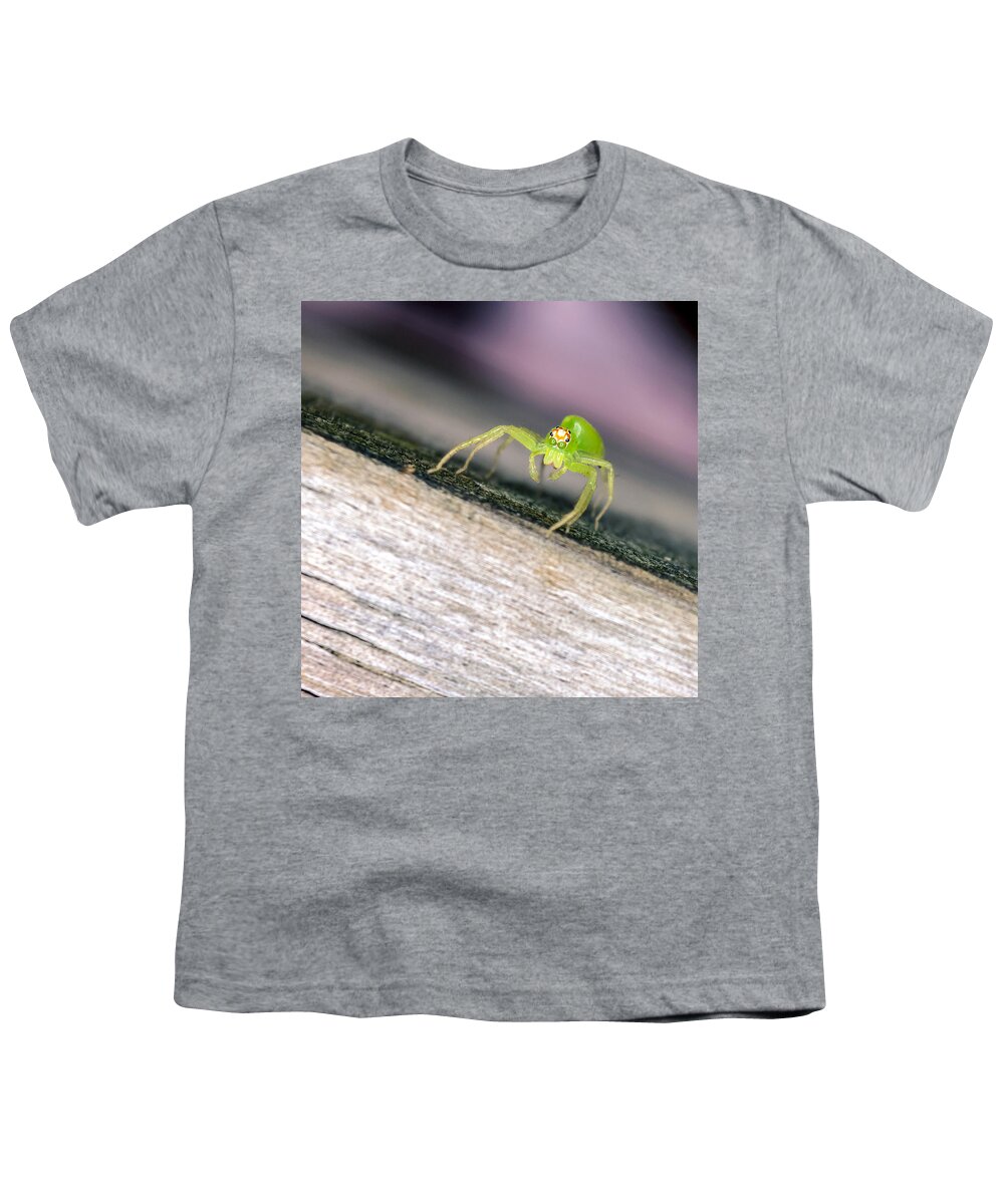 Animal Youth T-Shirt featuring the photograph Lyssomanes viridis by Rob Sellers
