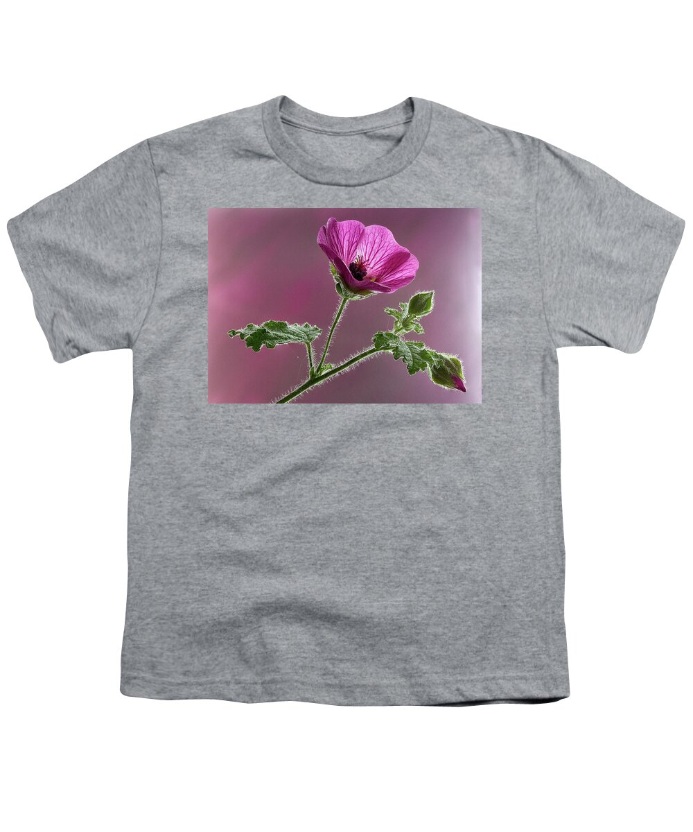 Blossom Youth T-Shirt featuring the photograph Mallow Flower 3 by Shirley Mitchell