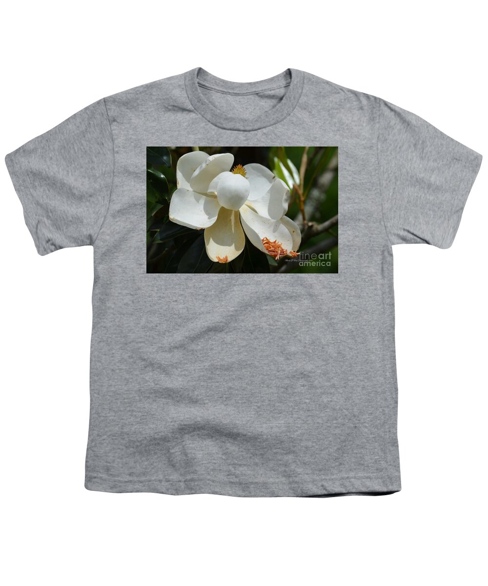 May Magnolia Youth T-Shirt featuring the photograph May Magnolia by Maria Urso