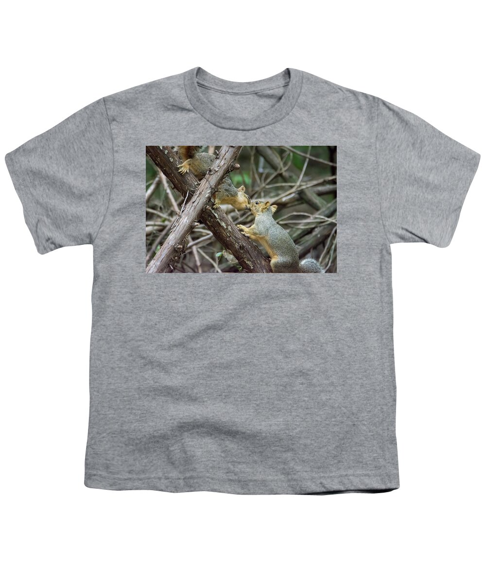 Squirrel Youth T-Shirt featuring the photograph Meet Me At the Fence Line by Debra Martz