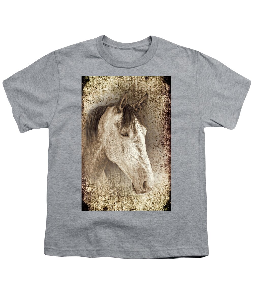 Horse Youth T-Shirt featuring the photograph Meet The Andalucian by Meirion Matthias
