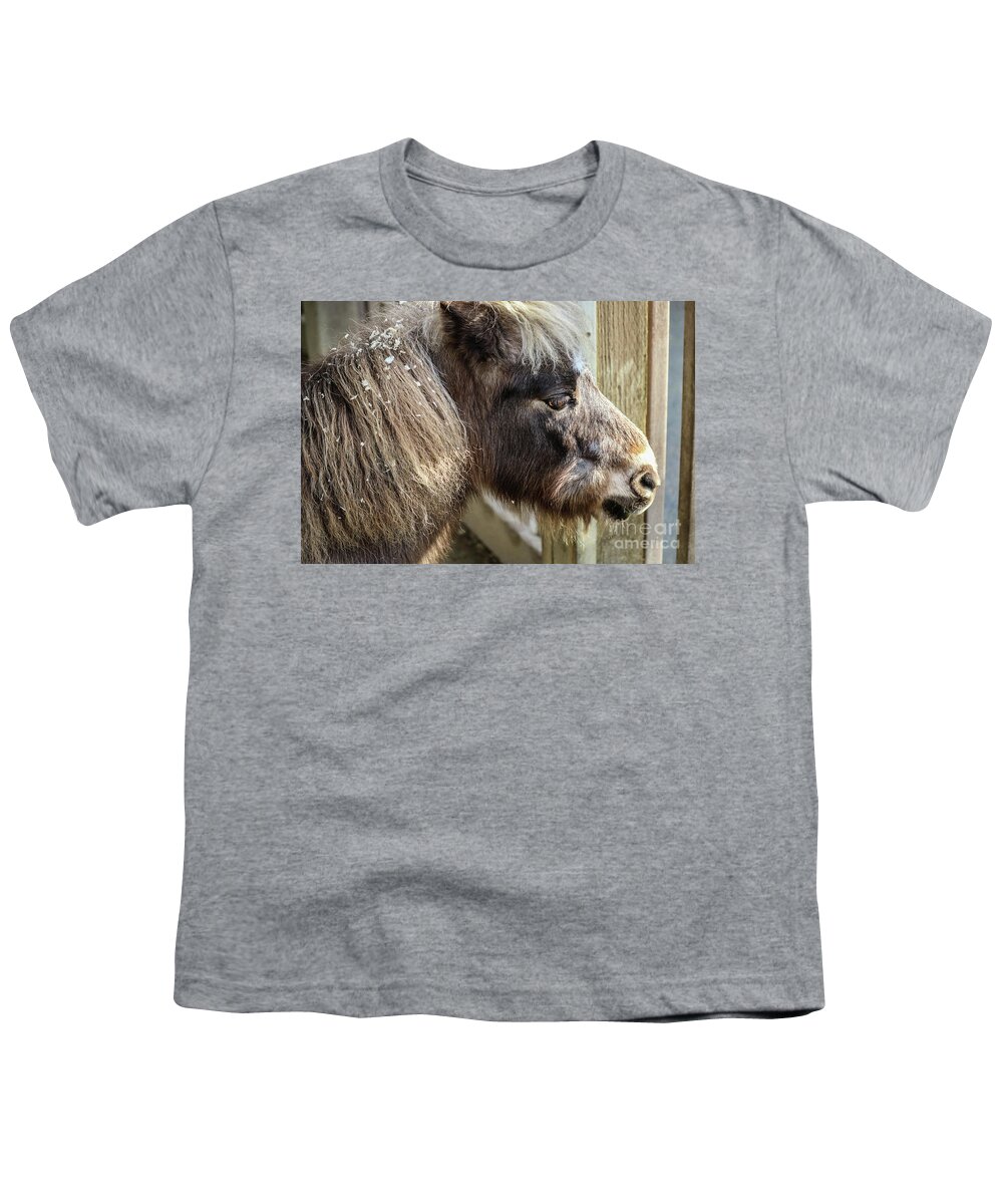 Miniature Youth T-Shirt featuring the photograph Miniature Horse by Suzanne Luft