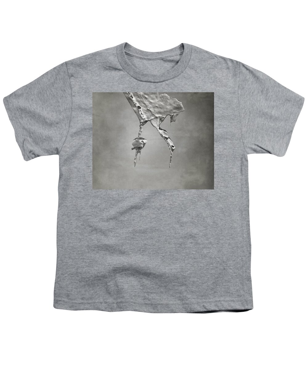 Icicle Youth T-Shirt featuring the photograph Molten Ice by Sue Capuano