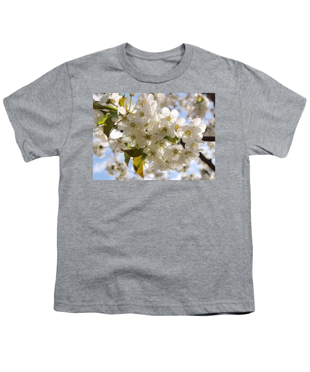 More Cherry Blossoms Youth T-Shirt featuring the photograph More cherry blossoms by Lynn Hopwood