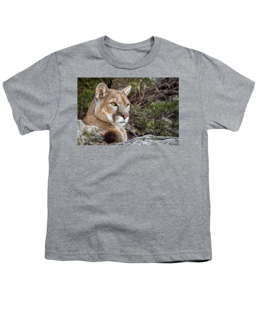 Big Cat Youth T-Shirt featuring the photograph Mountain Lion by Ron Pate