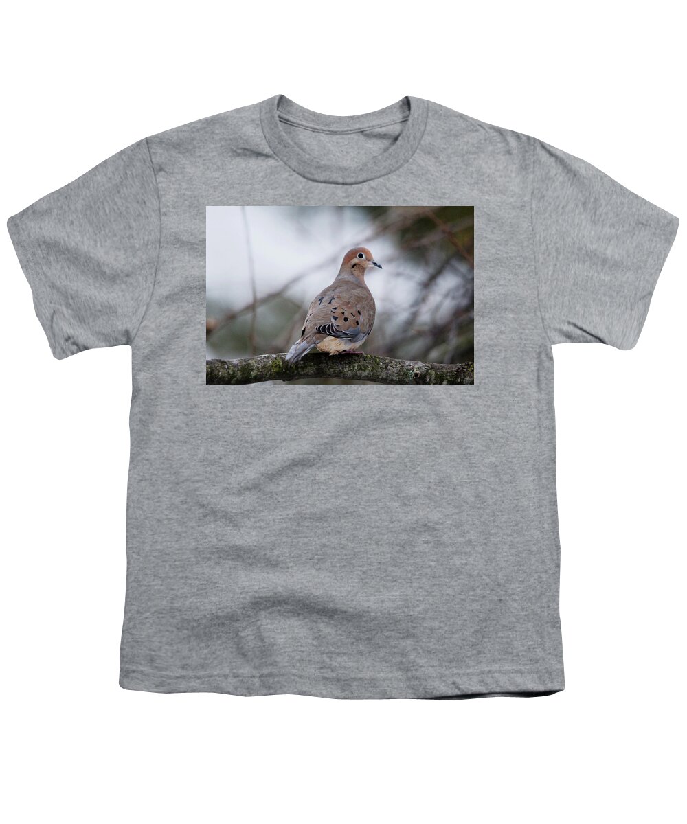Dove Youth T-Shirt featuring the photograph Mourning Dove Sitting Pretty by Debbie Oppermann