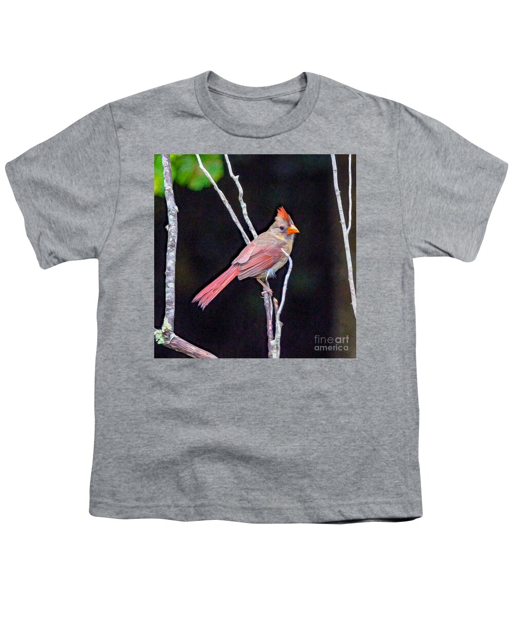 Nature Youth T-Shirt featuring the painting Female Cardinal by DB Hayes