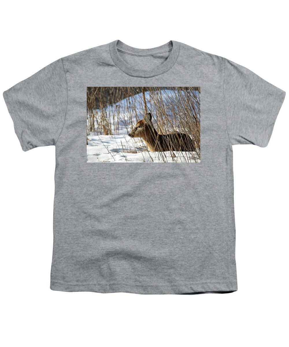 Doe Youth T-Shirt featuring the photograph Napping Fawn by Brook Burling
