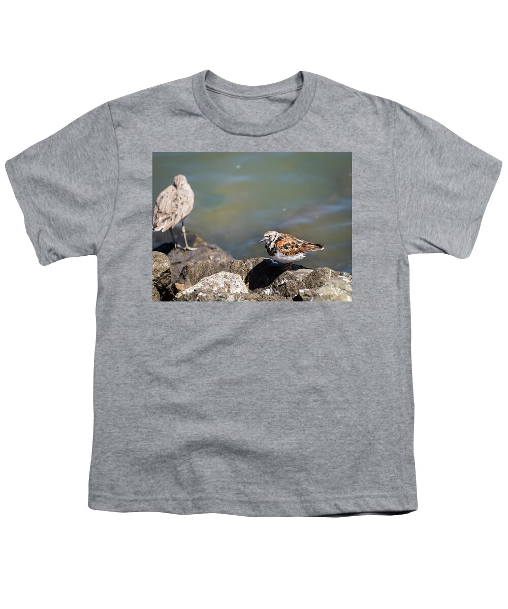 Turnstone Youth T-Shirt featuring the photograph No Stone Unturned by Alex Lapidus