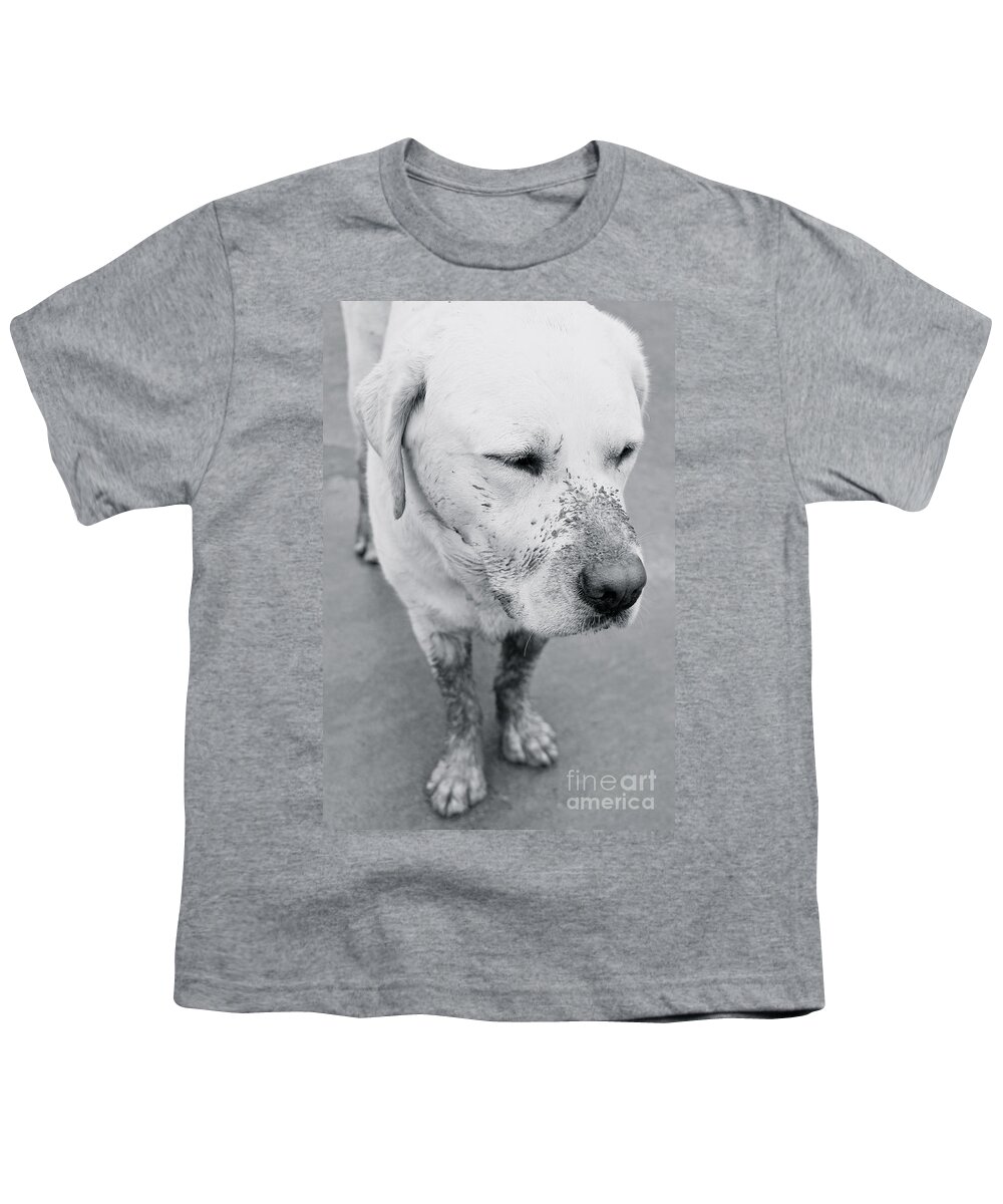 Dog Youth T-Shirt featuring the photograph Not A Care by Suzanne Oesterling