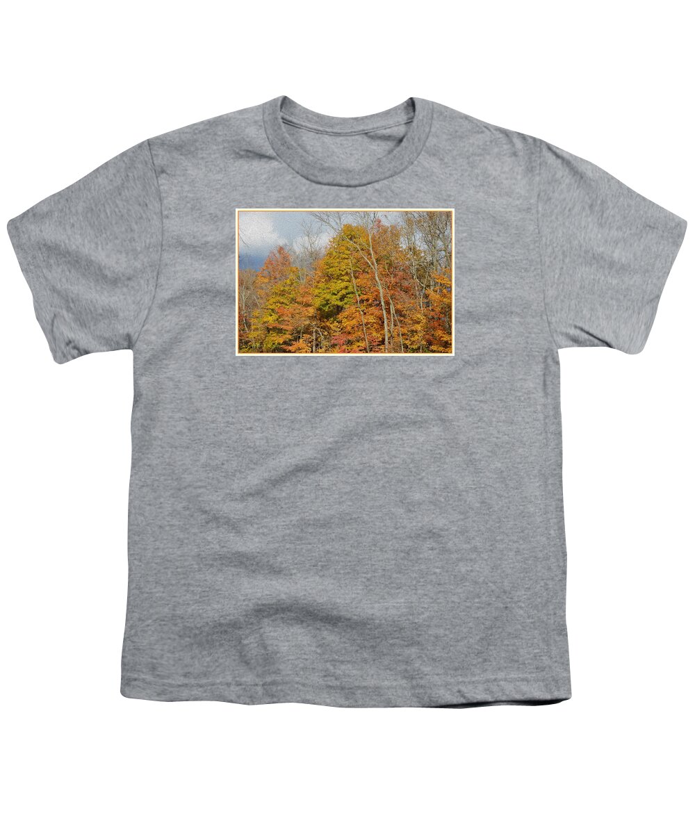  Youth T-Shirt featuring the photograph November Colors by Sonali Gangane