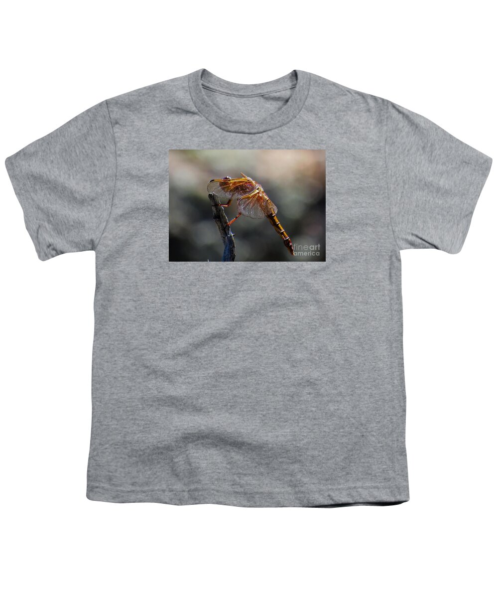 Nature Youth T-Shirt featuring the photograph Dragonfly 1 by Christy Garavetto