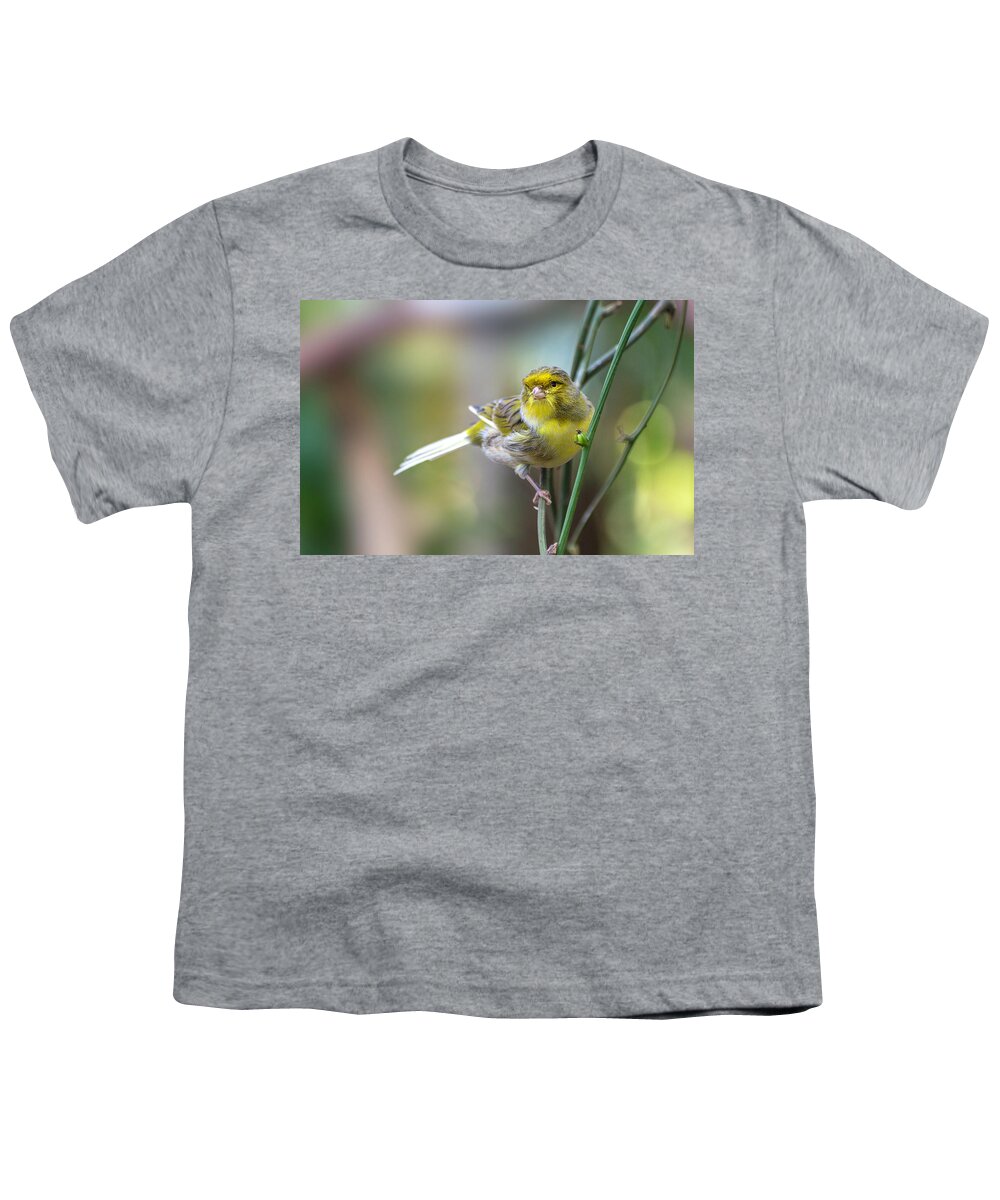 Orchard Oriole Youth T-Shirt featuring the photograph Orchard Oriole by John Poon