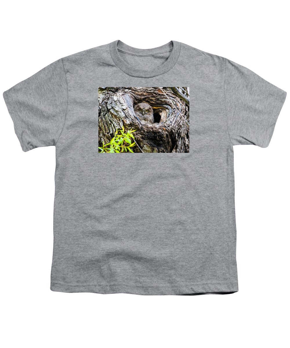 Eastern Screech Owl Youth T-Shirt featuring the photograph Peek A Boo by Mindy Musick King