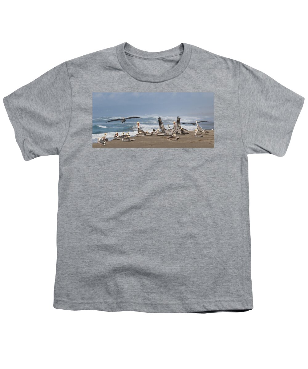 Brown Pelicans Youth T-Shirt featuring the photograph Pelicans at the Beach by Christy Pooschke