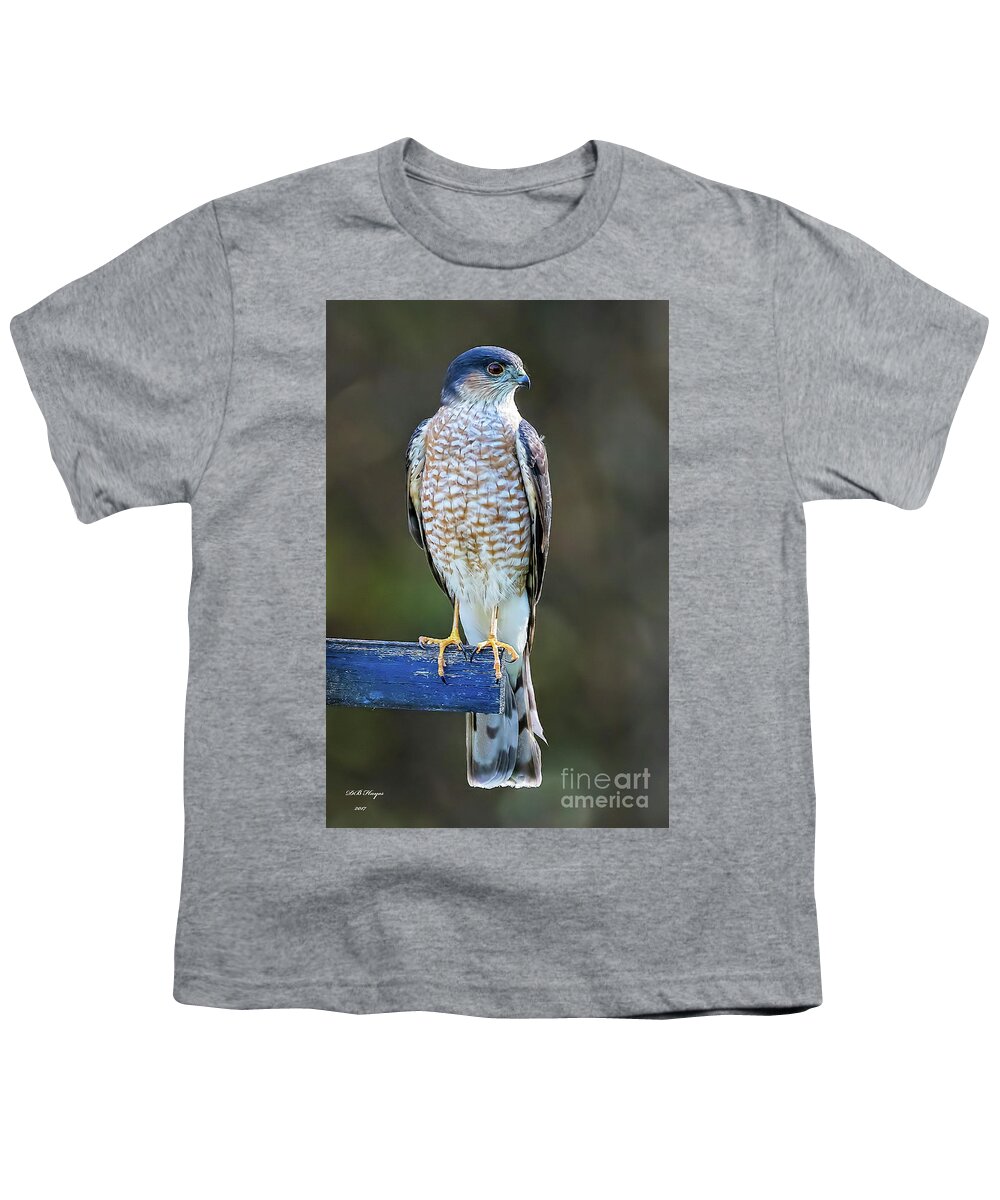 Hawks Youth T-Shirt featuring the photograph Sharp-Shinned Hawk by DB Hayes