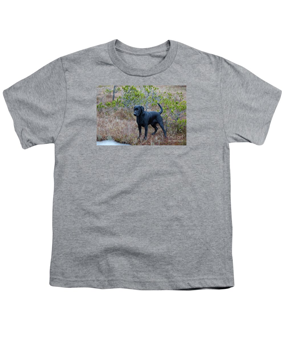Dog Portrait Youth T-Shirt featuring the photograph Pet Portrait - Radar by Laura Wong-Rose