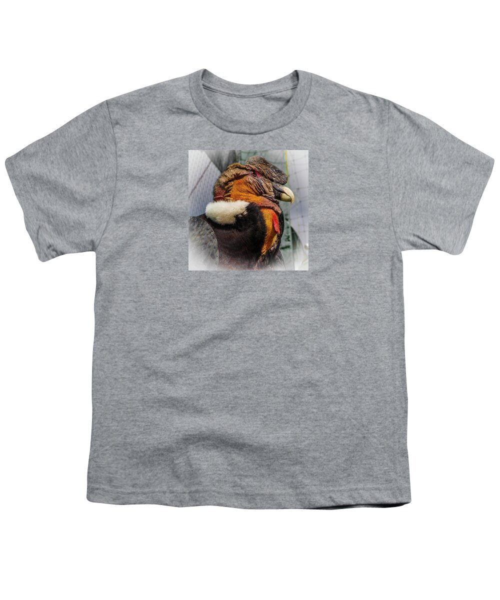 Animals Youth T-Shirt featuring the photograph Portrait of a Male Andean Condor, Peru by Venetia Featherstone-Witty