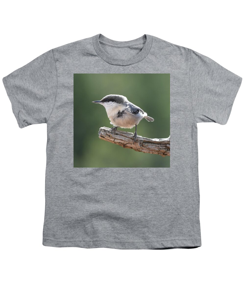 Nuthatch Youth T-Shirt featuring the photograph Pygmy Nuthatch by Ben Foster