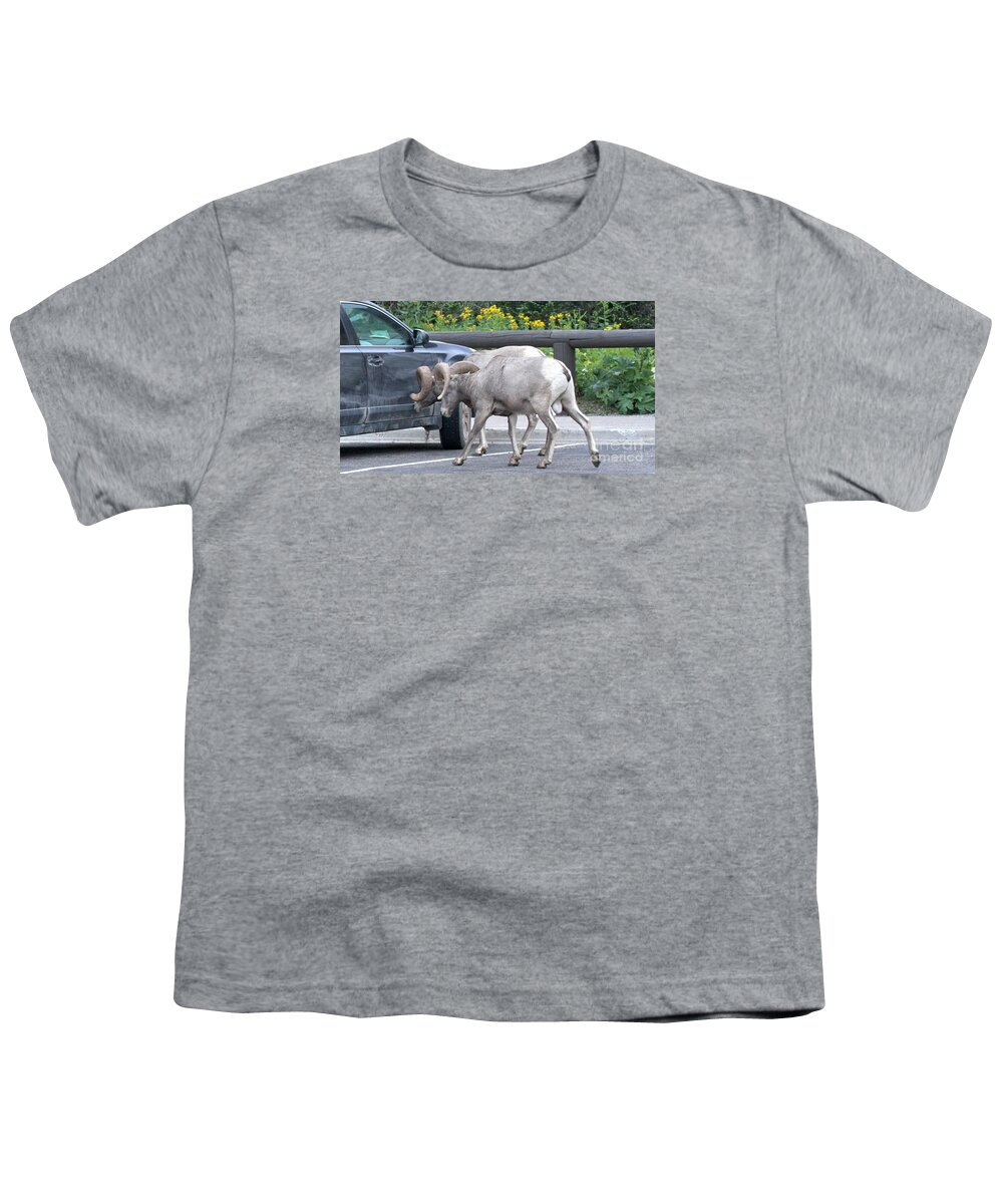 Bighorn Sheep Youth T-Shirt featuring the photograph Ram Tough Subaru by Adam Jewell