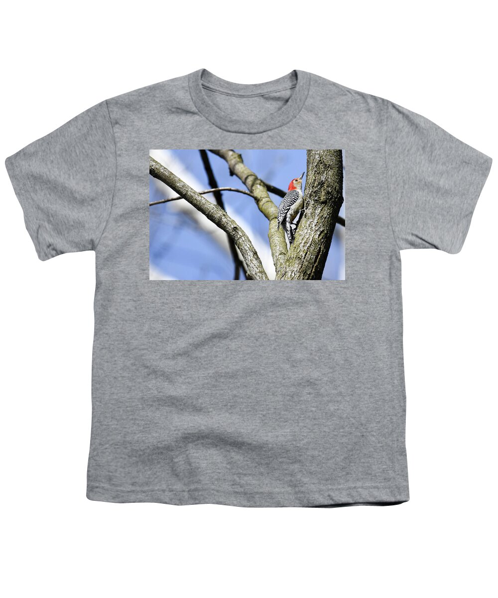 Birds Youth T-Shirt featuring the photograph Red-bellied Woodpecker by Gary Wightman