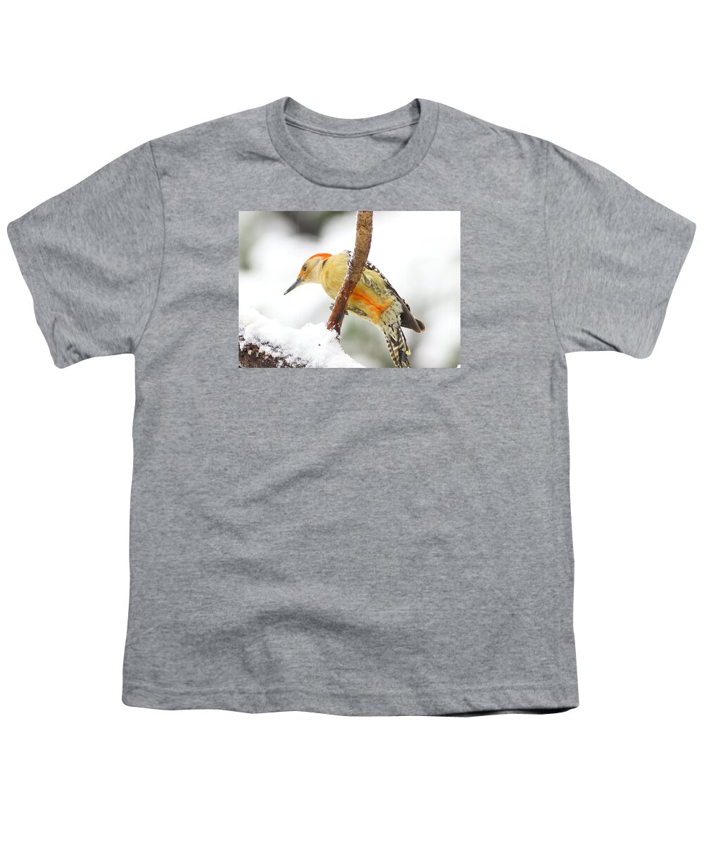 Red-bellied Woodpecker Youth T-Shirt featuring the photograph Red-bellied Woodpecker With Snow by Daniel Reed