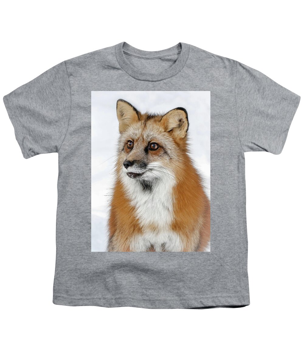 Red Fox Youth T-Shirt featuring the photograph Red Furry Fox by Athena Mckinzie