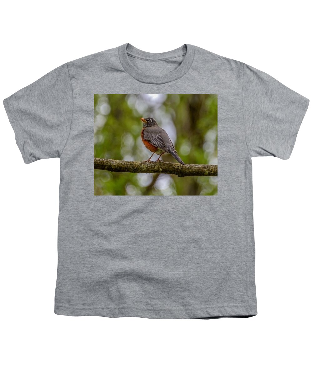 Robin Youth T-Shirt featuring the photograph Red robin by Jerry Cahill