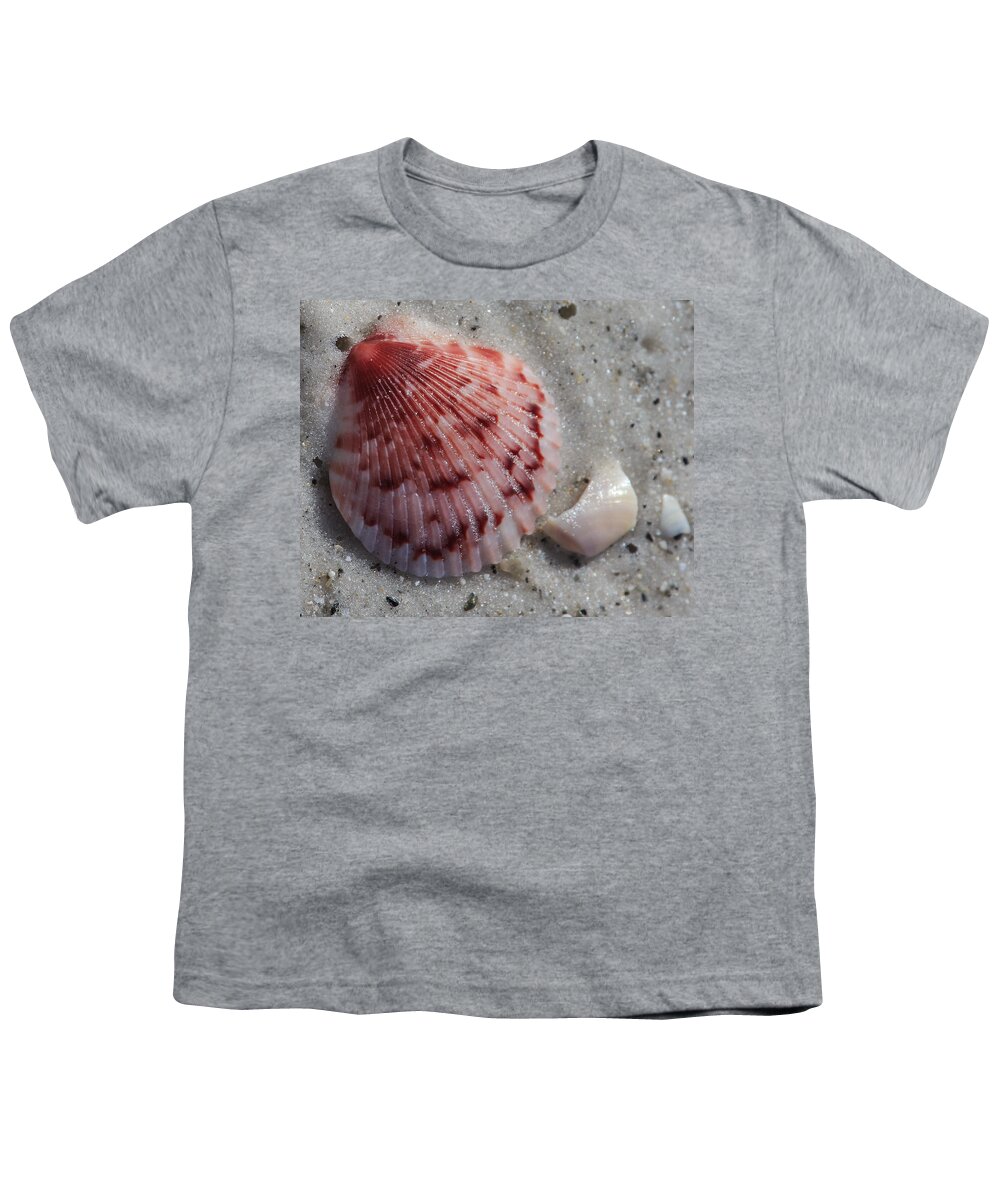 Scallop Youth T-Shirt featuring the photograph Scallop on Longboat Key Beach by Richard Goldman