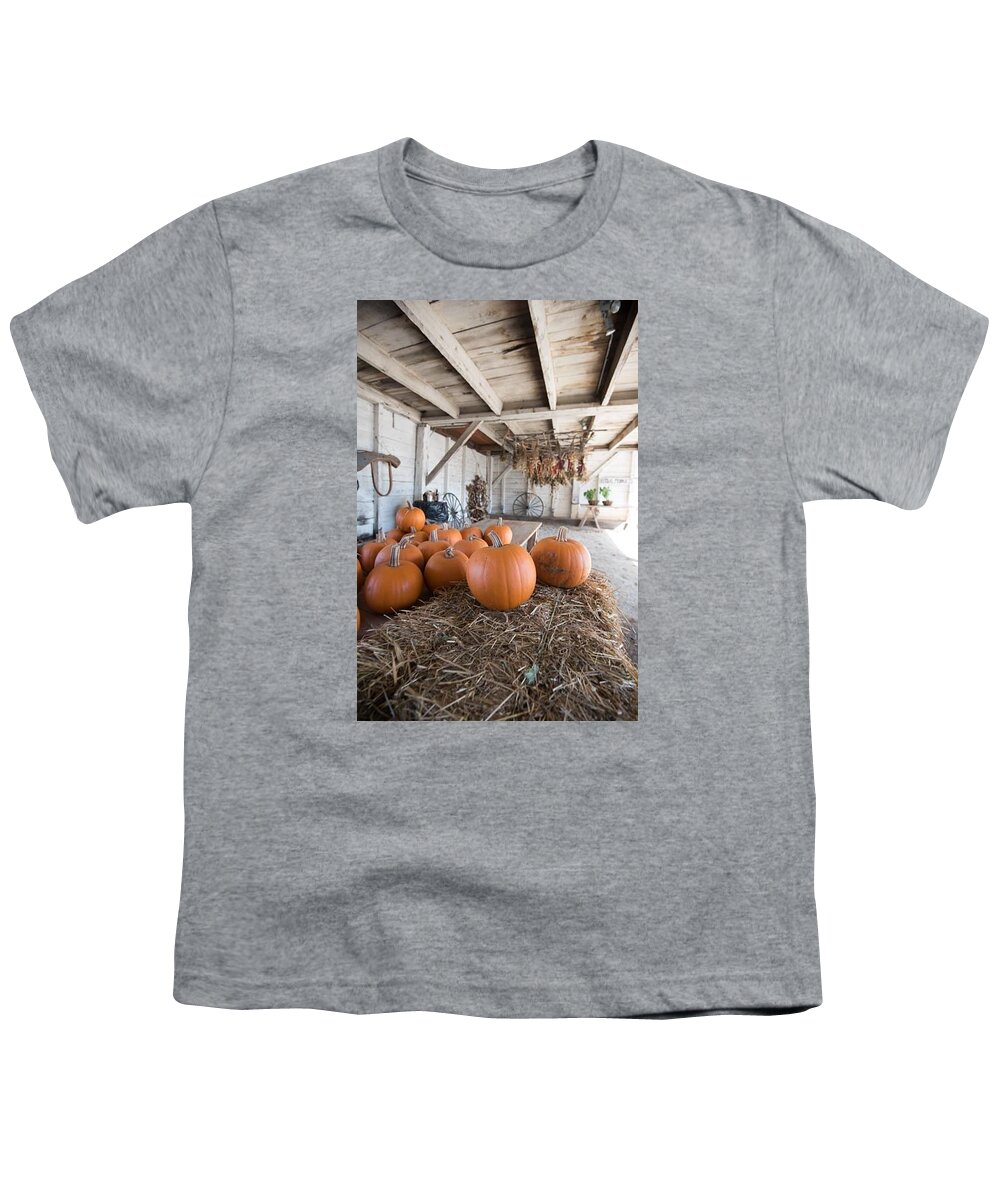 Pumpkins Youth T-Shirt featuring the photograph Shaker Farm by Patricia Dennis