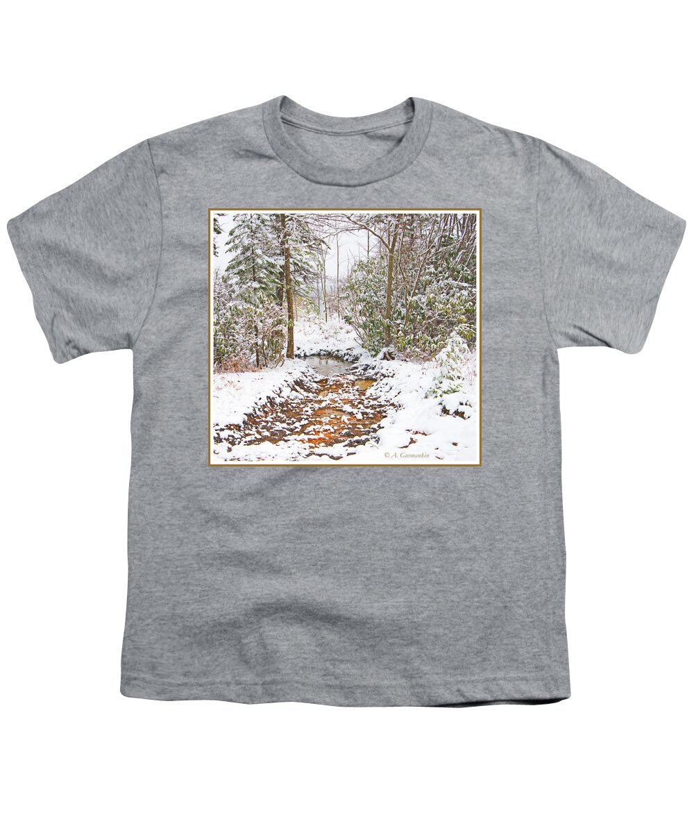 Stream Youth T-Shirt featuring the photograph Small Mountain Stream in Winter by A Macarthur Gurmankin