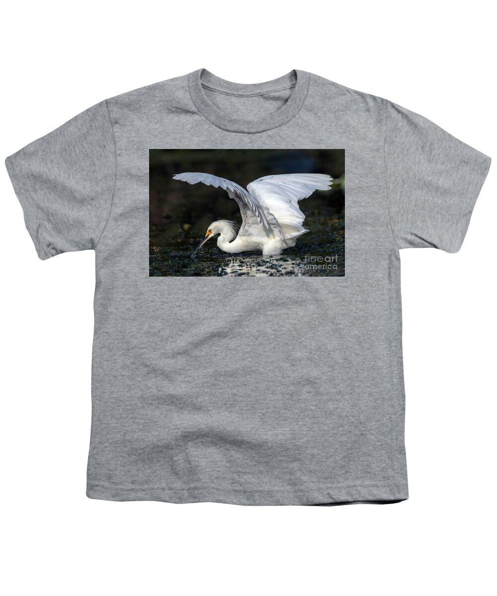 Birds Youth T-Shirt featuring the photograph Snowy Egret Fishing by DB Hayes