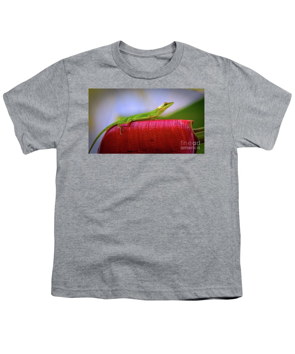 Coco View Resort Youth T-Shirt featuring the photograph Soaking Up the Sun by Doug Sturgess