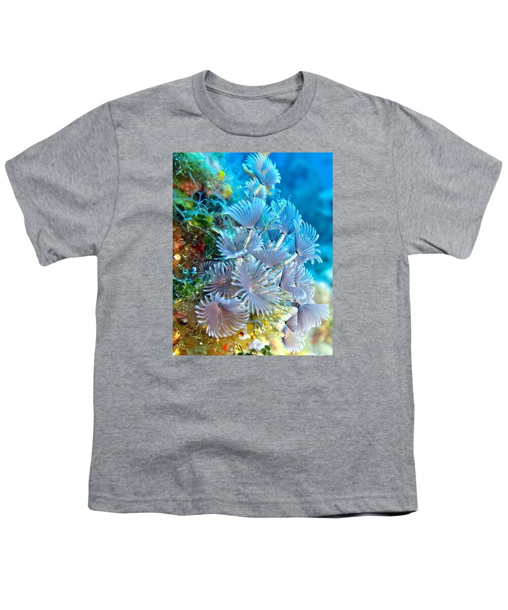Anemone Youth T-Shirt featuring the photograph Social Feather Dusters on Coral Reef by Amy McDaniel