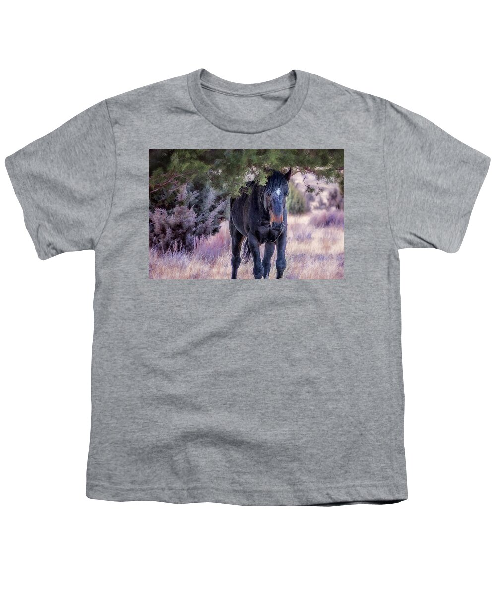 Wild Stallion Youth T-Shirt featuring the photograph South Steens Band Stallion Approaches by Belinda Greb