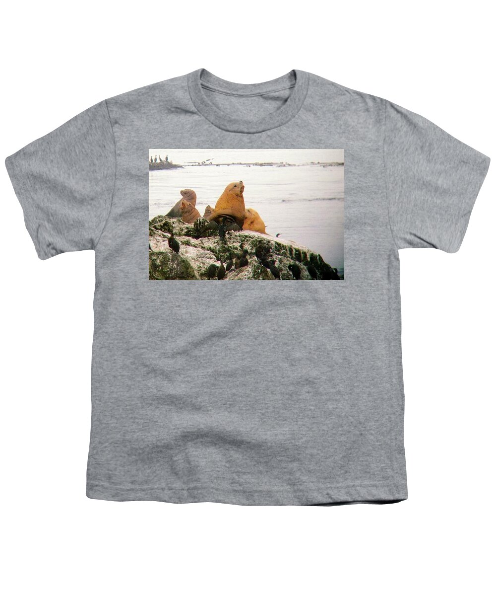  Youth T-Shirt featuring the photograph Steller Sea Lions Washington 2010 by Leizel Grant