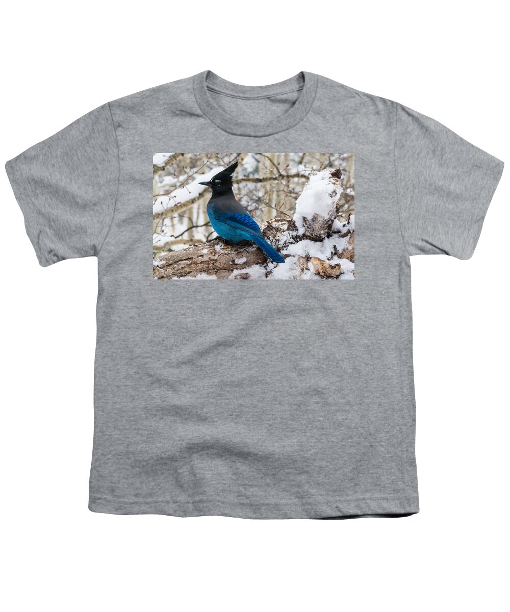 Steller's Jay Youth T-Shirt featuring the photograph Steller's Jay in Winter by Mindy Musick King