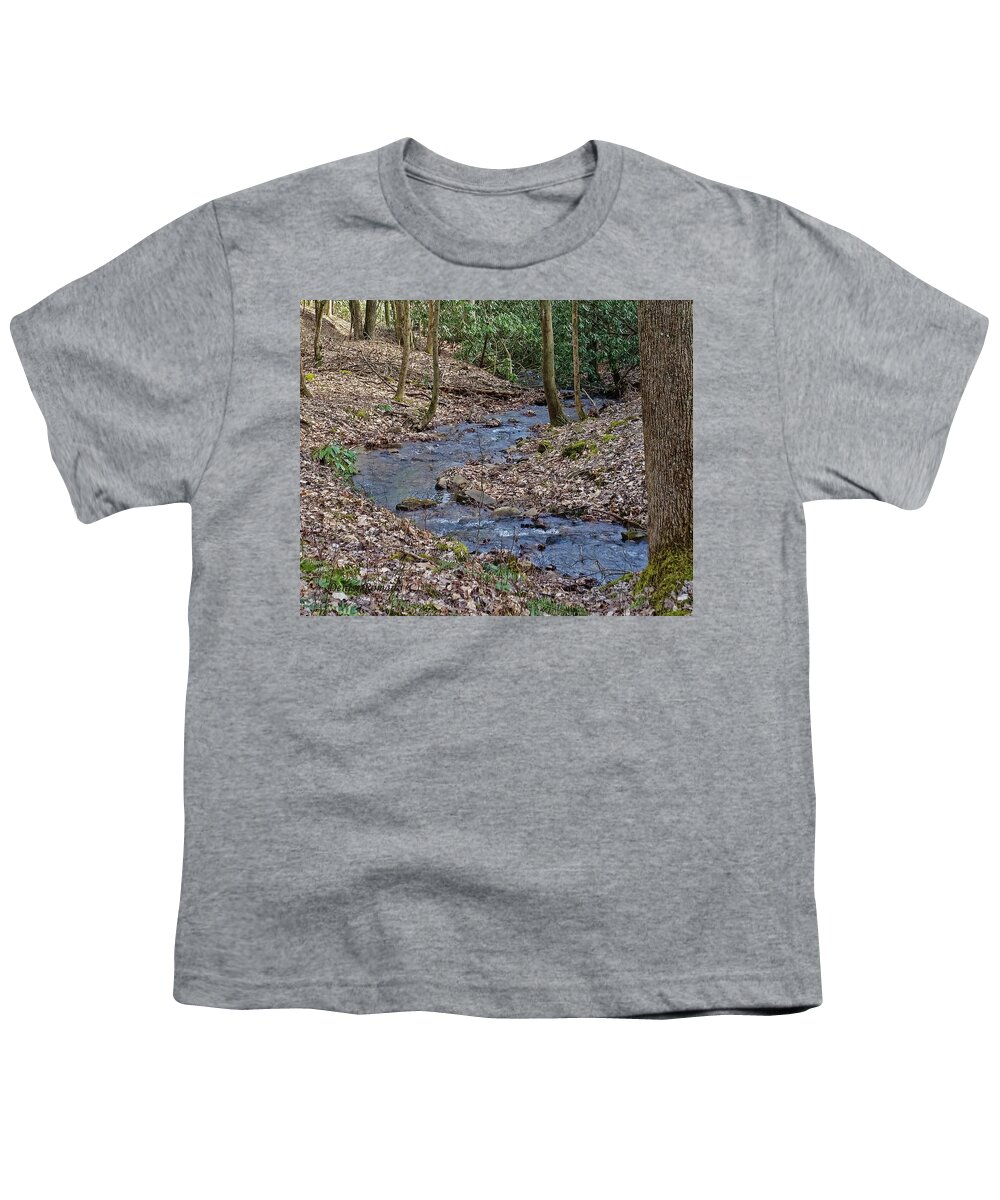 Water Youth T-Shirt featuring the photograph Stream Up The Hollow by Denise Romano