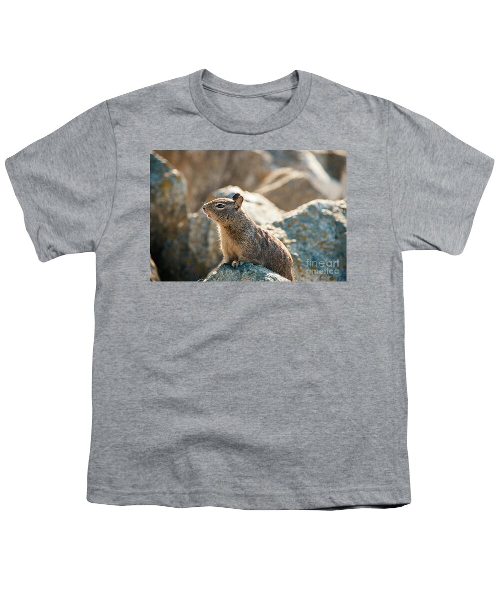 Curious Youth T-Shirt featuring the photograph Sweet Curious California Ground Squirrel, Animal In California by Amanda Mohler