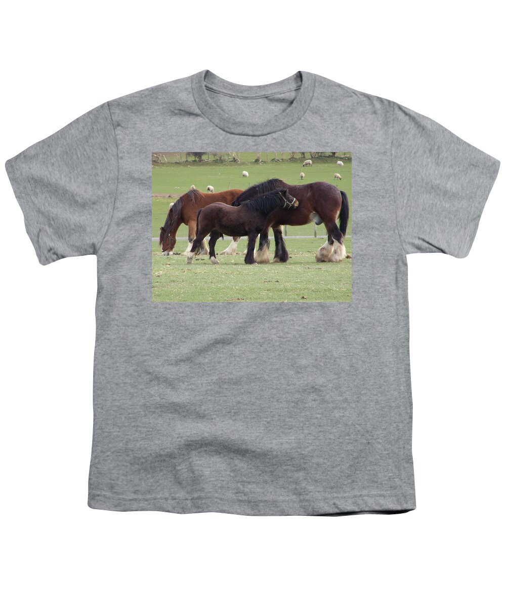 Horses Youth T-Shirt featuring the photograph The family by Christopher Rowlands