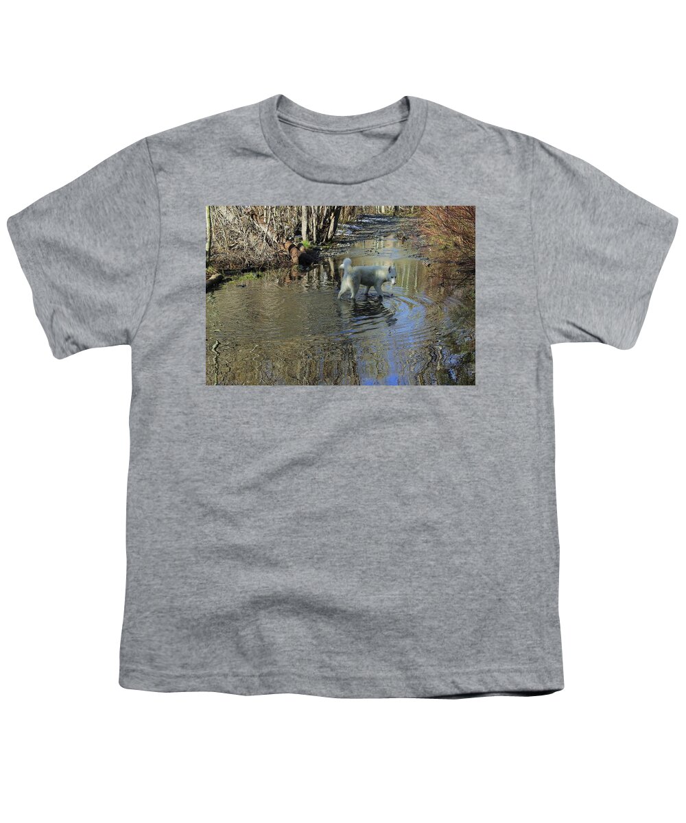 Path Youth T-Shirt featuring the photograph The Path Of Life by Sean Sarsfield