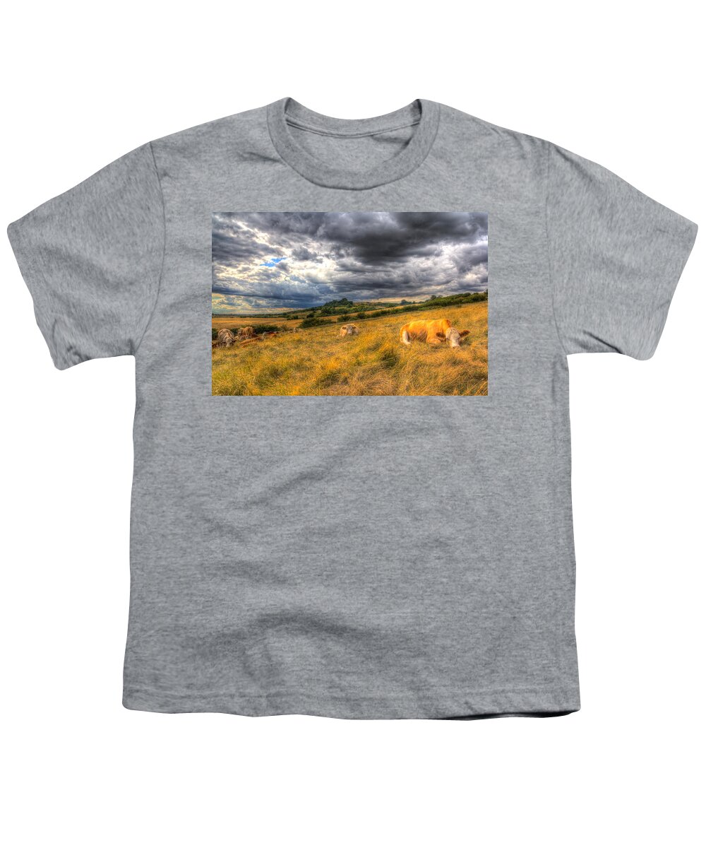 Cows Youth T-Shirt featuring the photograph The Resting Cows by David Pyatt