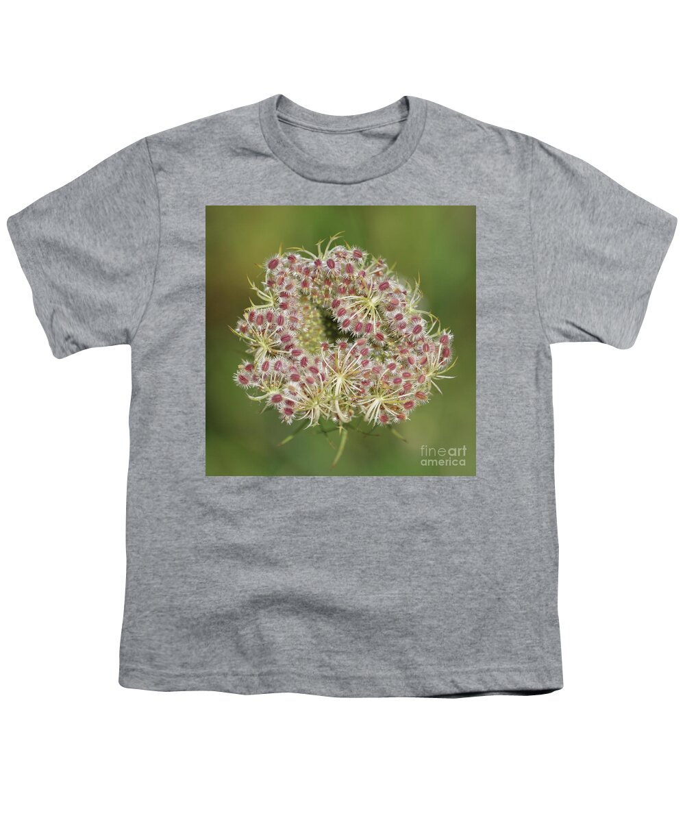 Cow Parsnip Youth T-Shirt featuring the photograph Unfurling Nature Macro Square by Carol Groenen