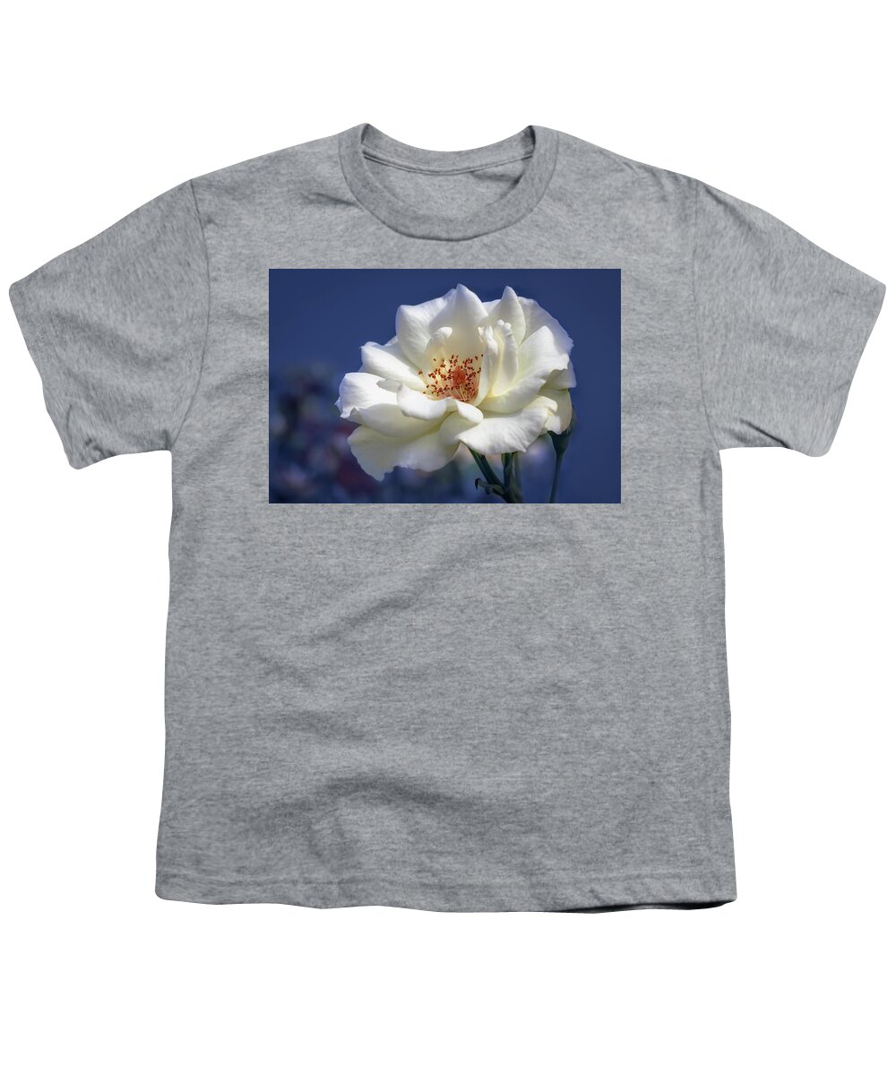 Background Youth T-Shirt featuring the photograph White rose on a blue background by Tim Abeln