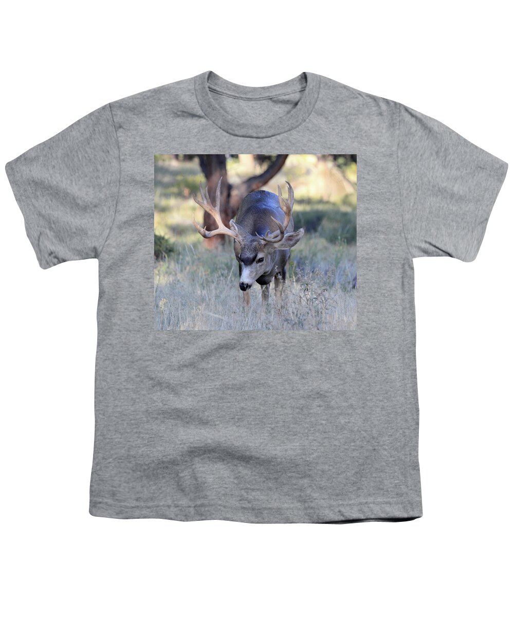 Mule Deer Youth T-Shirt featuring the photograph Wildlife Wonder by Shane Bechler