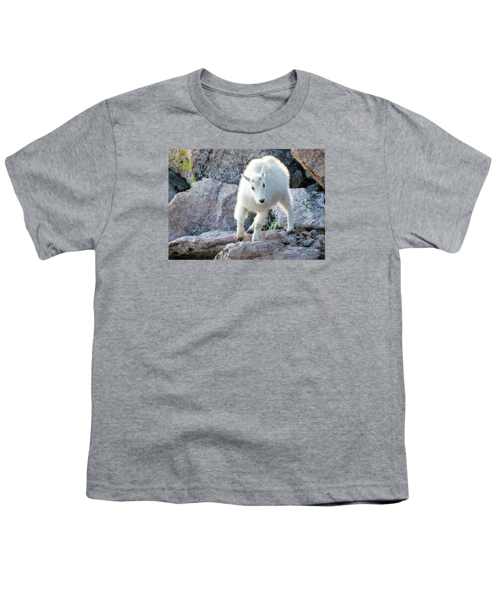 Mountain Goat Youth T-Shirt featuring the photograph Winter Coats #2 by Mindy Musick King