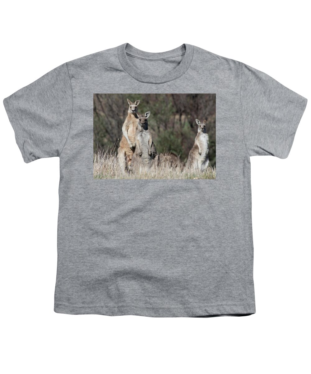 Kangaroo Youth T-Shirt featuring the photograph Teamwork #1 by Masami IIDA