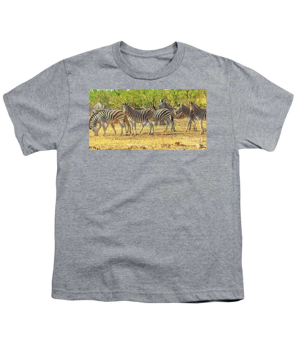 Zebras Youth T-Shirt featuring the photograph Group of zebras lined #2 by Benny Marty
