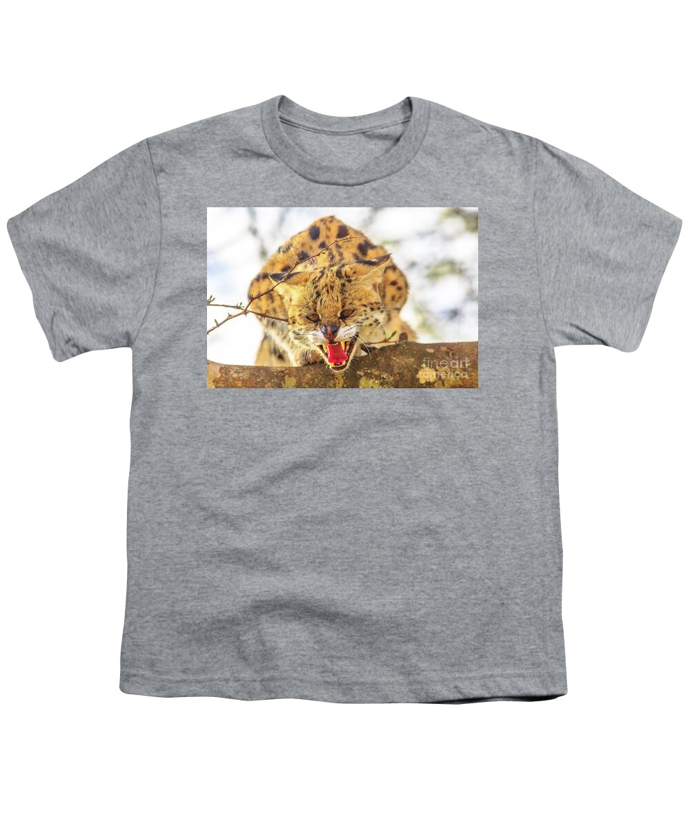 Serval Youth T-Shirt featuring the photograph Serval on a tree #2 by Benny Marty